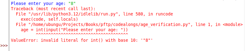 Drinking Age Verification Type Error